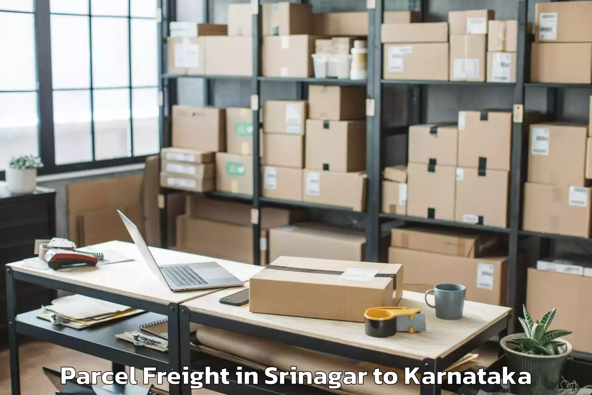 Easy Srinagar to Bellary Parcel Freight Booking